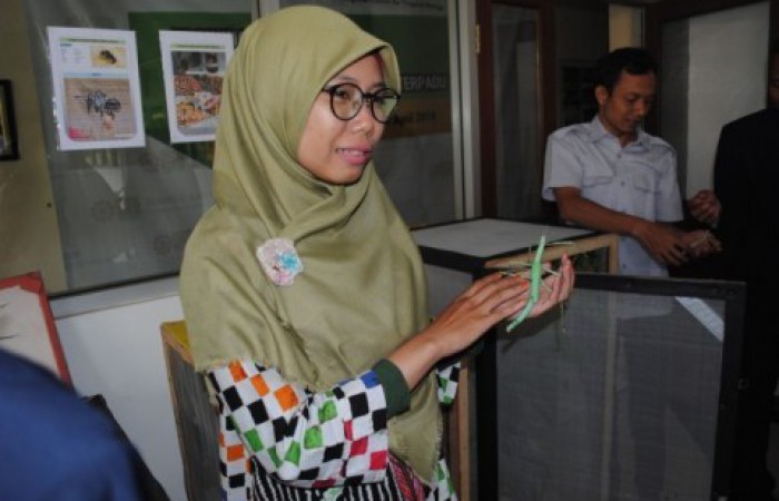 700x450-toheight-90-dsc_0084