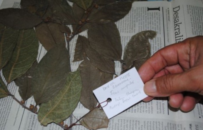 700x450-toheight-90-dsc_0124