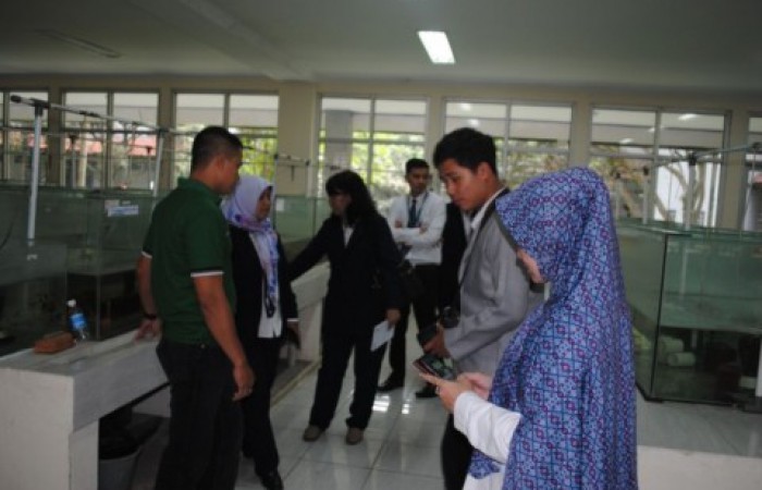 700x450-toheight-90-dsc_0137