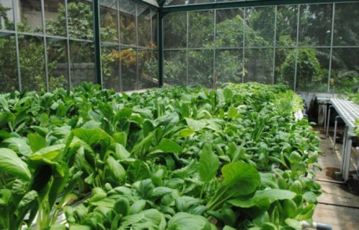 700x450-toheight-90-dsc_0149