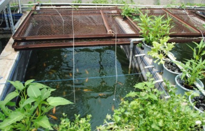 700x450-toheight-90-dsc_0157