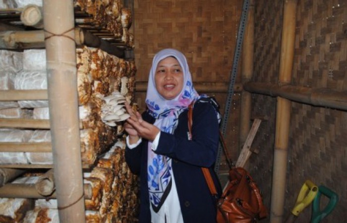 700x450-toheight-90-dsc_0183