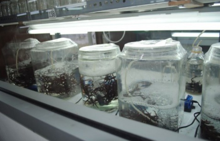 700x450-toheight-90-dsc_0215