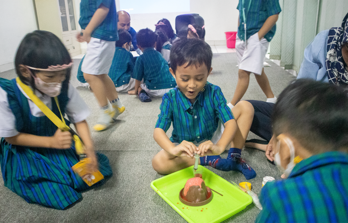 PROJECT GUNUNG BERAPI