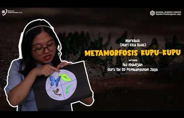 TUTORIAL CARA MEMBUAT BAGAN METAMORFOSIS KUPU-KUPU (ft. SD Pembangunan Jaya)