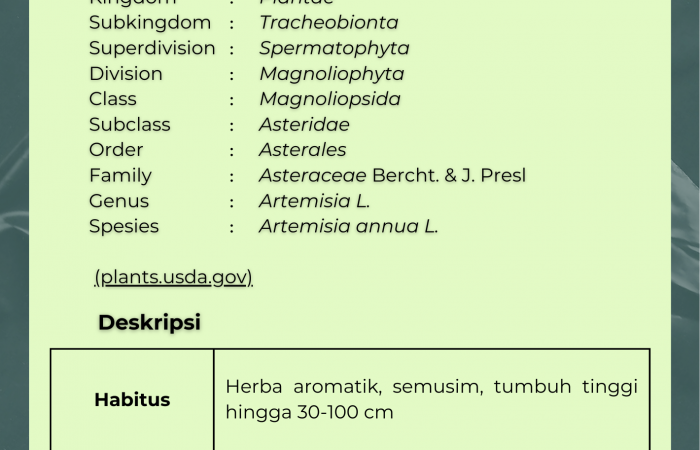 Anuma