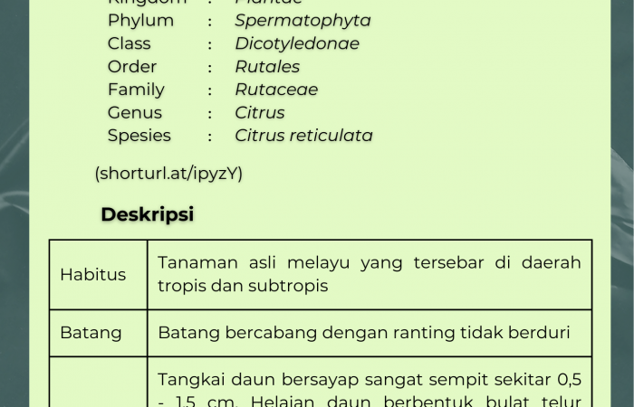 Jeruk Keprok