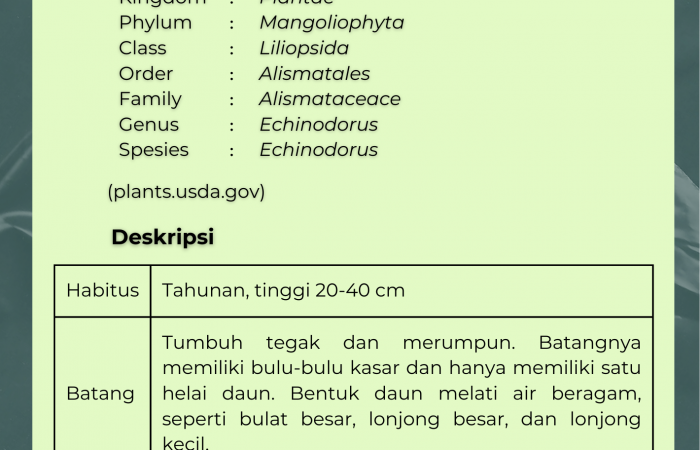 Melati Air